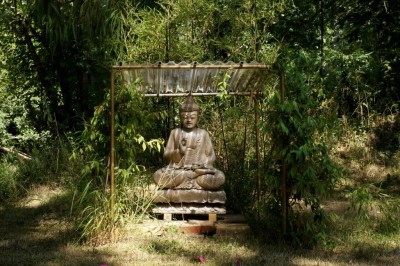 bouddha dans son écrin de jasmin