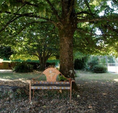 sous le grand tilleul. banc aux colombes copy